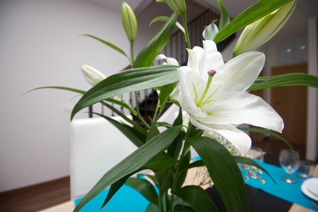Apartment Βαλένθια Εξωτερικό φωτογραφία